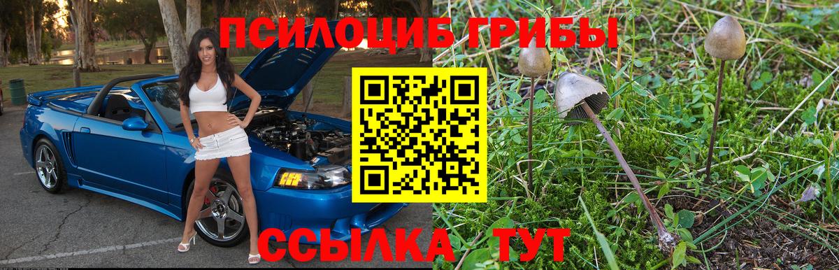 Верхняя Салда  Галлюциногенные грибы Magic Shrooms  Вход с VPN 